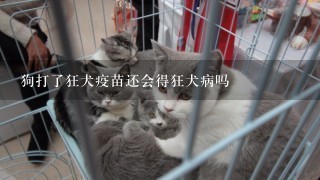 狗打了狂犬疫苗还会得狂犬病吗