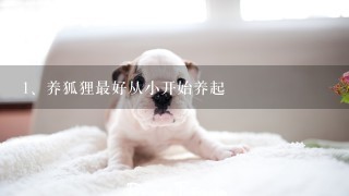 养狐狸最好从小开始养起