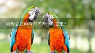 狗狗急促的叫声代表什么意思？