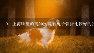 上海哪里的宠物医院看兔子骨折比较好的?