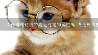 铁西滑翔诗波特附近有宠物医院吗,或是离那近点也行