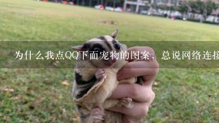 为什么我点QQ下面宠物的图案，总说网络连接超时，请稍候再试？