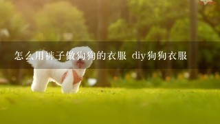 怎么用裤子做狗狗的衣服 diy狗狗衣服