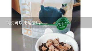 飞机可以托运猫吗