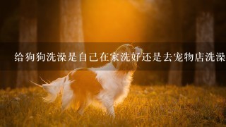 给狗狗洗澡是自己在家洗好还是去宠物店洗澡？