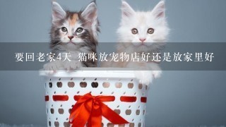 要回老家4天 猫咪放宠物店好还是放家里好