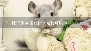 除了狗猫还有什么宠物可以养