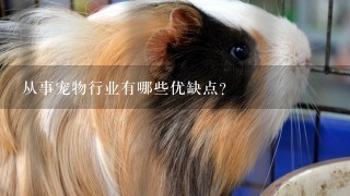 从事宠物行业有哪些优缺点？