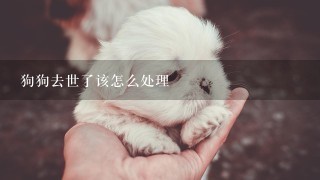 狗狗去世了该怎么处理