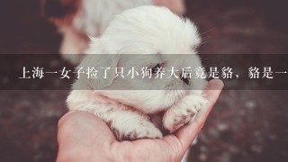 上海一女子捡了只小狗养大后竟是貉，貉是一种什么生
