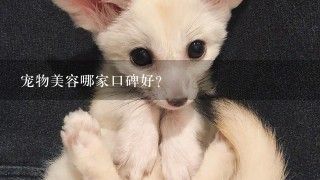 宠物美容哪家口碑好?