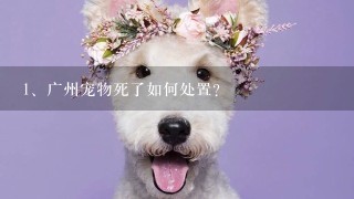 广州宠物死了如何处置？