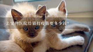 去宠物医院给猫打疫苗要多少钱?