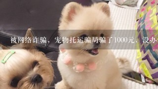 被网络诈骗，宠物托运骗局骗了1000元，没办法要回了吗