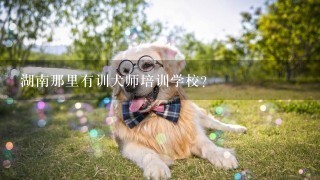 湖南那里有训犬师培训学校？