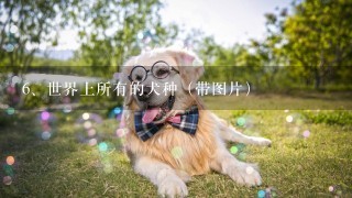 世界上所有的犬种（带图片）