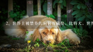 世界上被禁养的狗狗有藏獒、比特犬，世界上十大禁犬