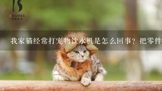 我家猫经常打宠物饮水机是怎么回事？把零件全拆出来，然后踹翻它，木地板都被水泡肿了啊啊啊