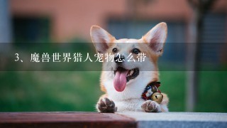 魔兽世界猎人宠物怎么带