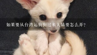 如果要从台湾运狗狗过来大陆要怎么弄？