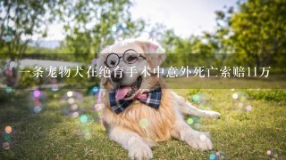 一条宠物犬在绝育手术中意外死亡索赔11万