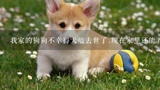 我家的狗狗不幸得犬瘟去世了.现在家里还能养狗吗