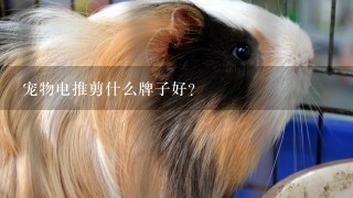 宠物电推剪什么牌子好？