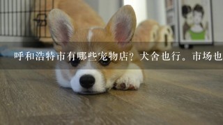 呼和浩特市有哪些宠物店？犬舍也行。市场也行。