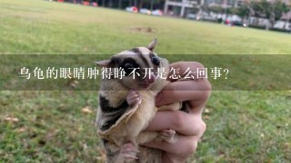 乌龟的眼睛肿得睁不开是怎么回事？