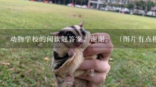 动物学校的阅读题答案，谢谢。 （图片有点模糊，见谅。） <br/>1、学期末公布成绩时，大家都感到委屈，议论