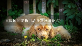 重庆国际宠物用品开发公司介绍？
