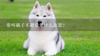 常叫猫子不避鼠是什么意思？