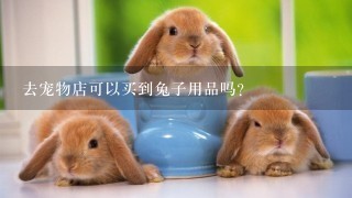 去宠物店可以买到兔子用品吗？