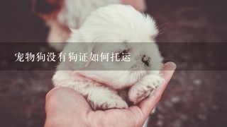 宠物狗没有狗证如何托运