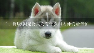 新版QQ宠物贝壳有什么用大神们帮帮忙