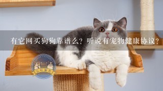 有它网买狗狗靠谱么？听说有宠物健康协议？保证十五