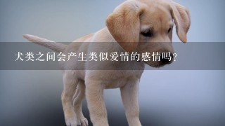 犬类之间会产生类似爱情的感情吗？