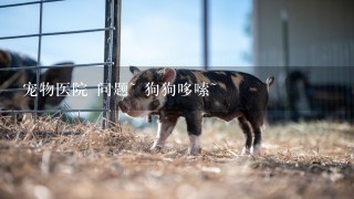 宠物医院 问题~ 狗狗哆嗦~