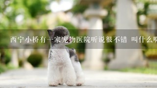 西宁小桥有一家宠物医院听说很不错 叫什么啊