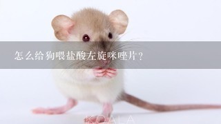 怎么给狗喂盐酸左旋咪唑片？