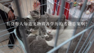 有没有人知道宠物猪各学历的考题答案啊？