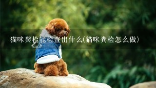 猫咪粪检能检查出什么(猫咪粪检怎么做)