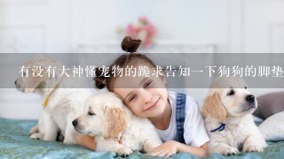 有没有大神懂宠物的跪求告知一下狗狗的脚垫干裂是怎么回事？