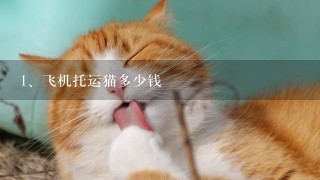 飞机托运猫多少钱