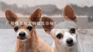 广州哪里有宠物批发市场？