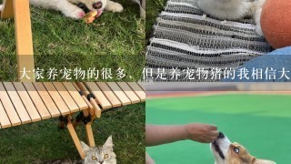 大家养宠物的很多，但是养宠物猪的我相信大概只有荷