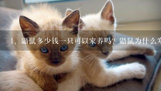 鼯鼠多少钱一只可以家养吗？鼯鼠为什么寒号鸟、催生