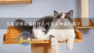 大家分别说说有什么可爱宠物猫的名字