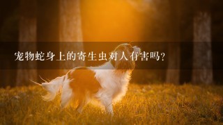 宠物蛇身上的寄生虫对人有害吗？