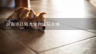 河南许昌阳光宠物医院在哪